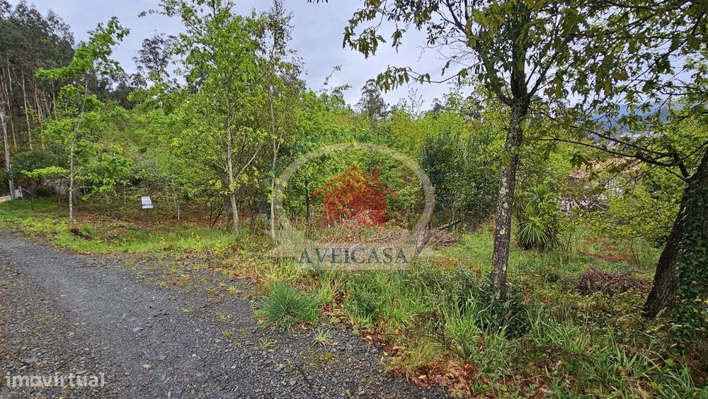 Terreno Para Moradias Junto Ao Rio Vouga — São João da Serra, Viseu
