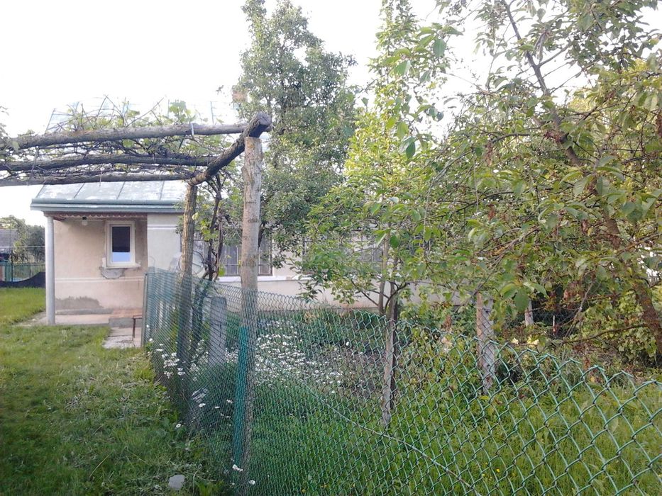 Продається будинок з земельною ділянкою