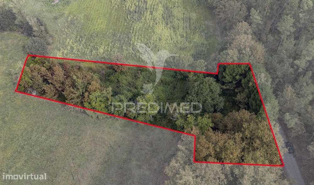 Land Plot in Lage