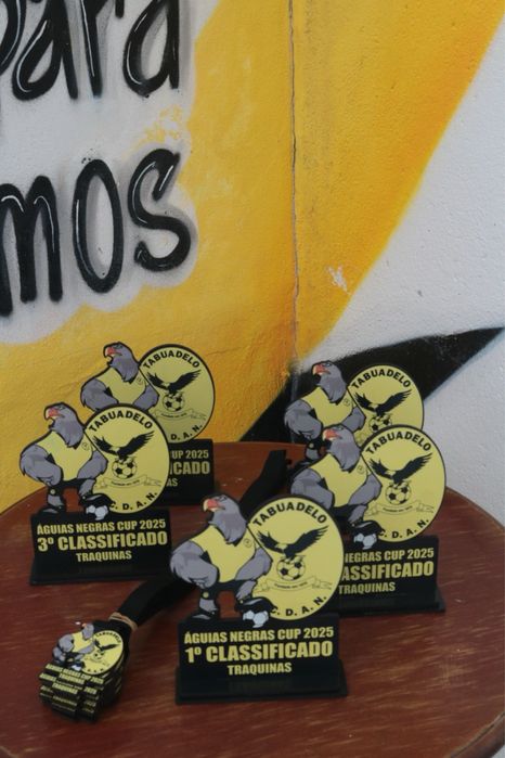 Troféus 100% personalizáveis