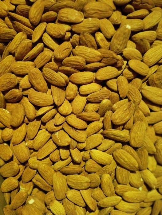 Miolo de amêndoa de 2025