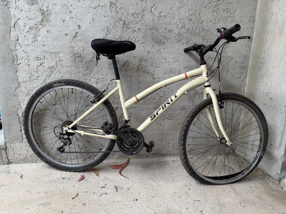 Bicicleta Mulher