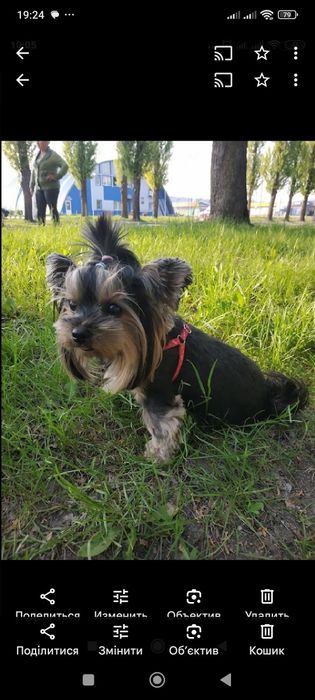 Мініатюрний хлопчик