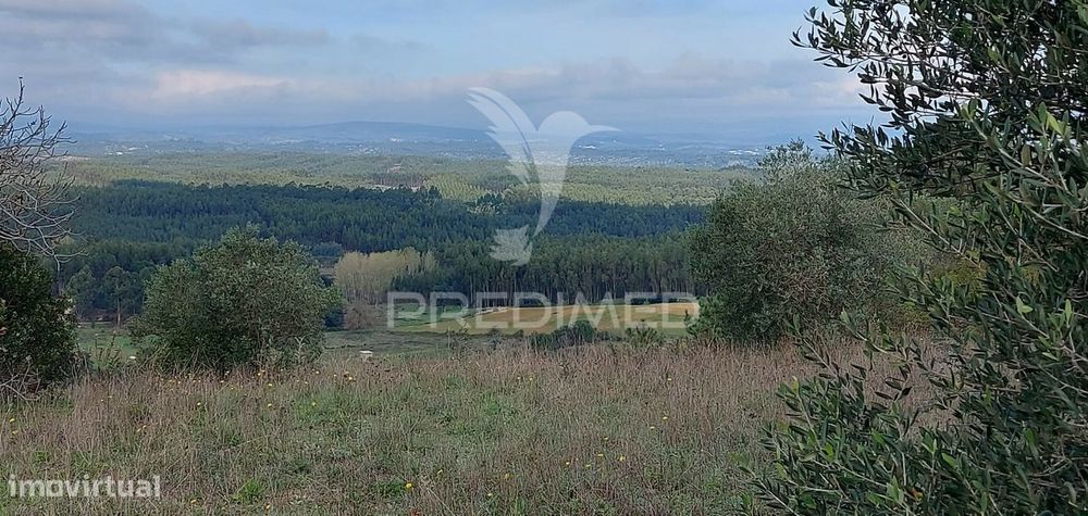 Terreno Rústico com 25.560 m2, conselho de Santarém.