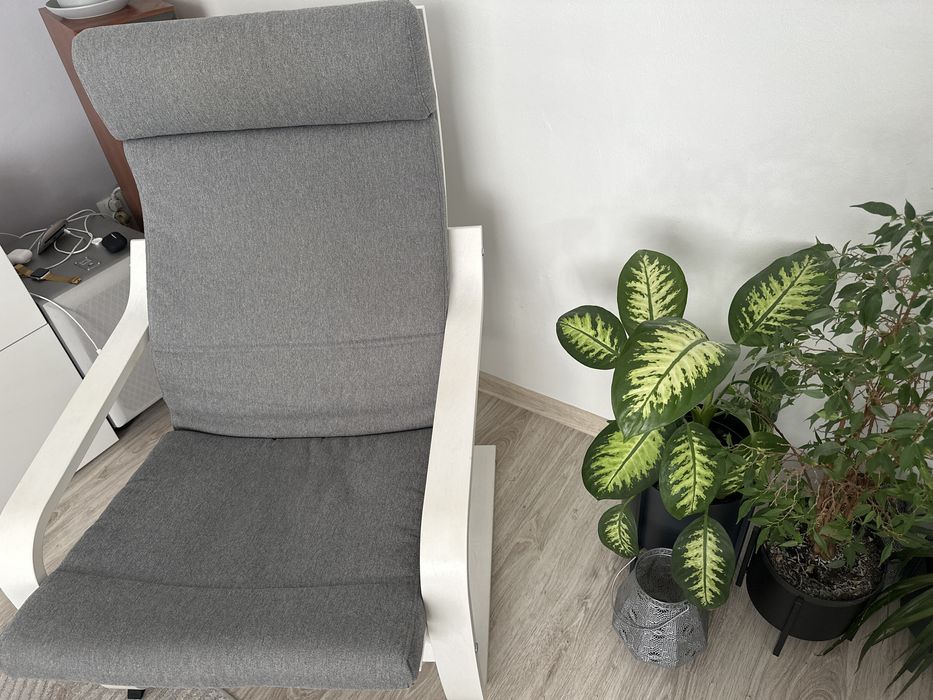 Fotel ikea Poang