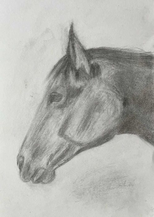 Desenho a Carvão - Cabeça Cavalo