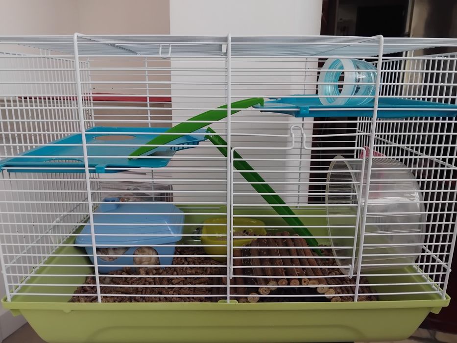 Gaiola amster com tudo incluido