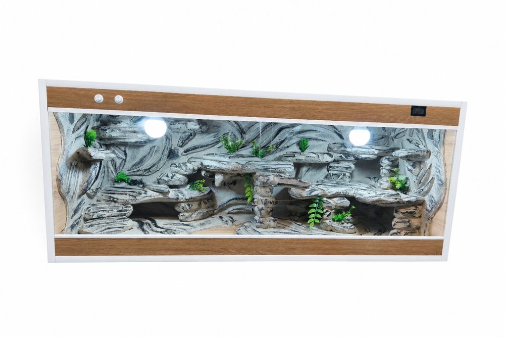 Terrarium agama gekon jaszczurka WYSYŁKA