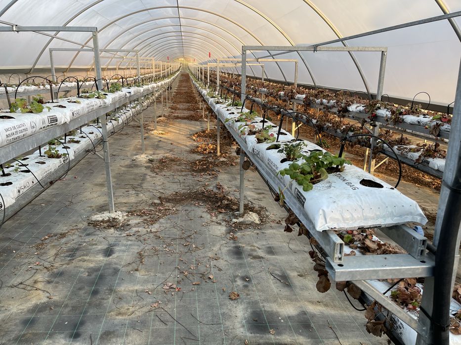 Vendo Estrutura Aço Galvanizado