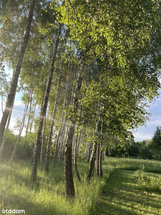 Działka pod resort 9435m² przy Suntago|U/MN+MN/U|2 fronty|media|zieleń