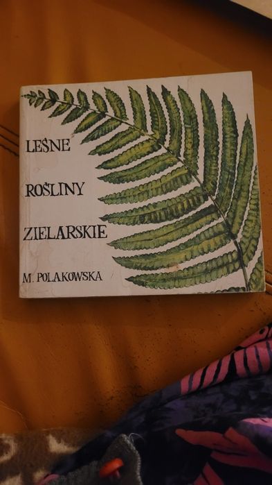 Leśne rośliny zielarskie ich zastosowanie