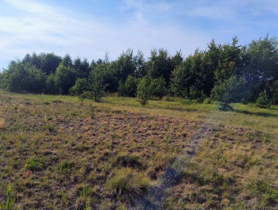 Продаж земельної ділянки під забудову 10сот, 5км до Львова.Без комісії