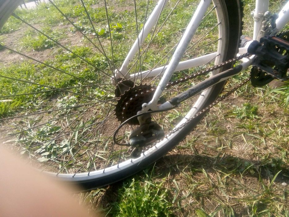 Rower damski Decathlon Zbyszewice • OLX.pl