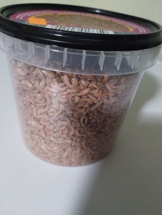 Gammarus suszony opakowanie