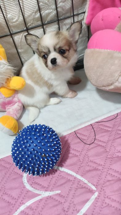 Красавчик мальчик и милашка девочка