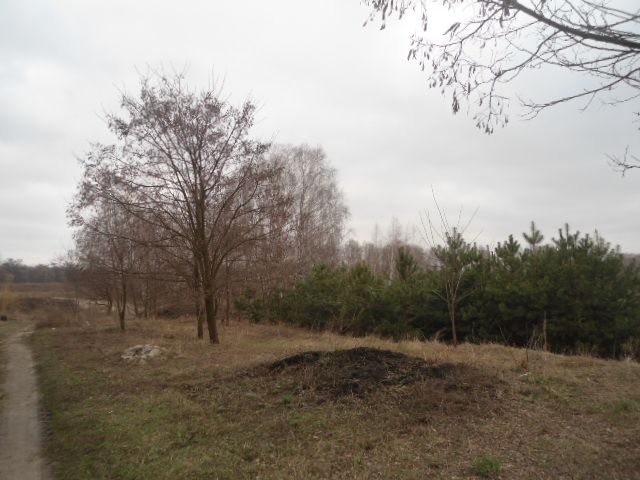 Євідновлення.Продажа дом имение с Маковище 250м+100м гостевой, водохра