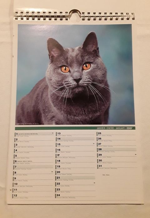 Calendário de parede com gatos do ano 2007