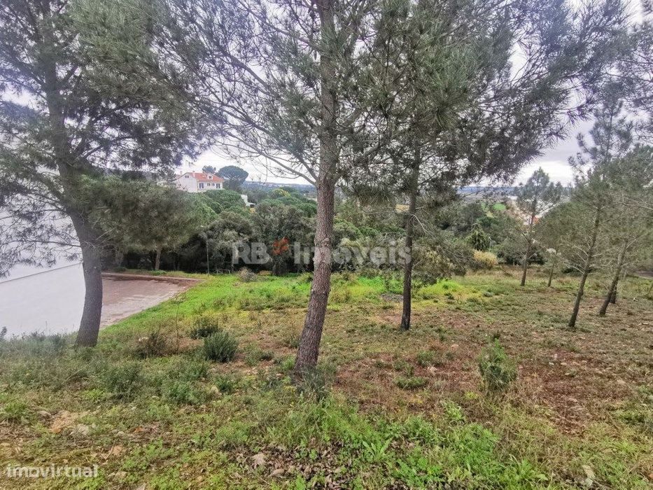 Lote de terreno urbano com 1098 m2