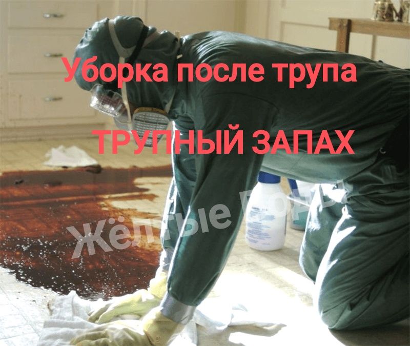 ‼️ТРУПНЫЙ ЗАПАХ Клінінг після Смерті Трупа Алкашей Бомжей Дезінфекція