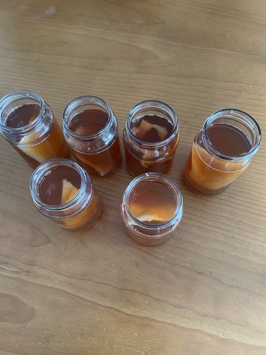 Vendo combucha, e um bom probiotico.