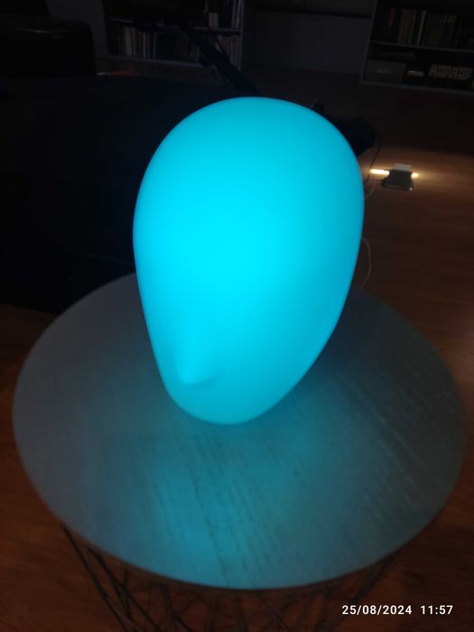 Display Head438554397236285442