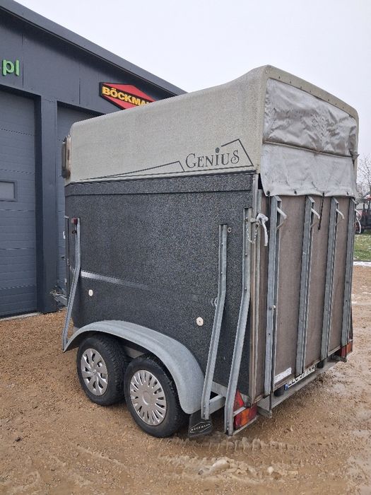 Przyczepa dla koni Boeckmann Genius