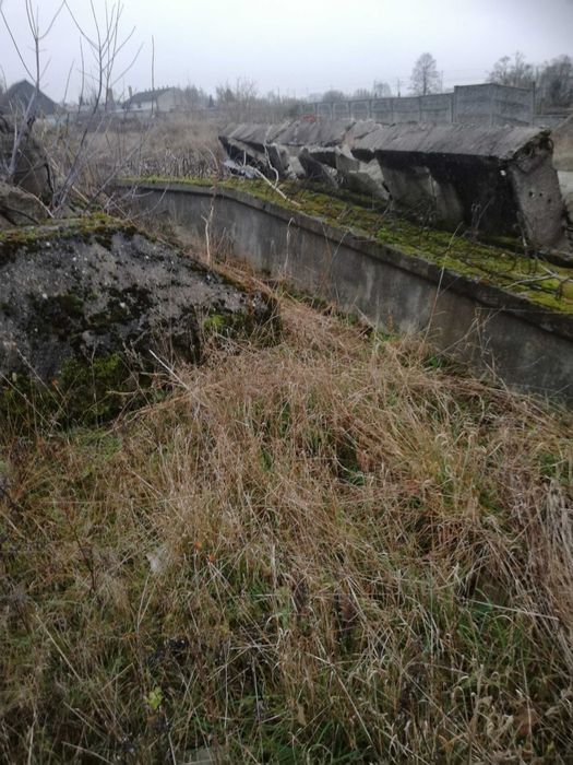 Belki , stopy żelbetonowe
