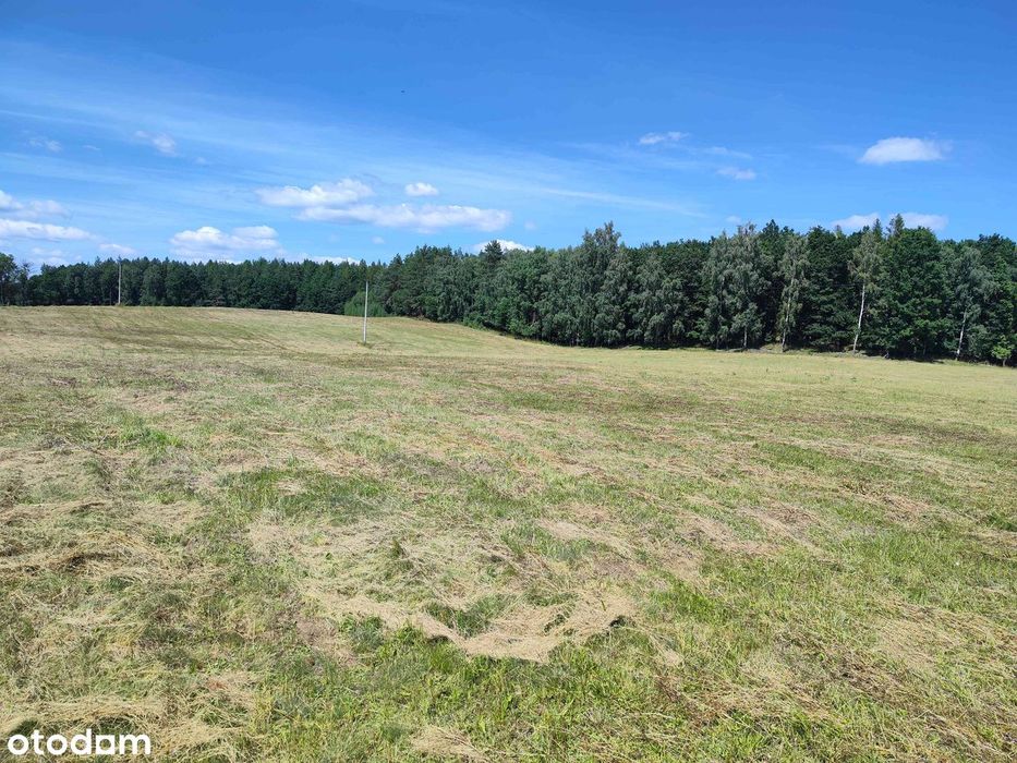 Promocja Działki Ciche Mazury