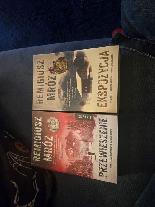 Remigiusz Mróz Ekspozycja Przewieszenie