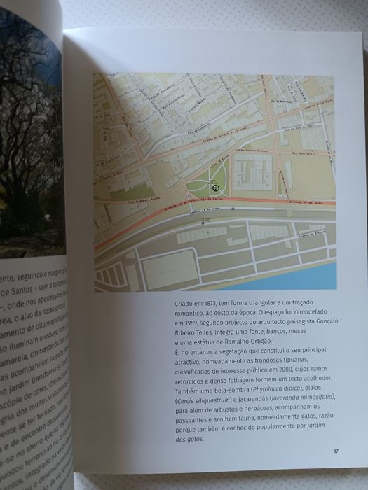 Árvores na Cidade, Graça Amaral Saraiva e Ana Ferreira de Almeida