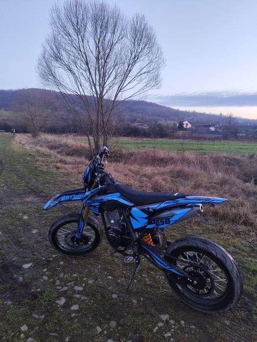 rottor pancher motard 250