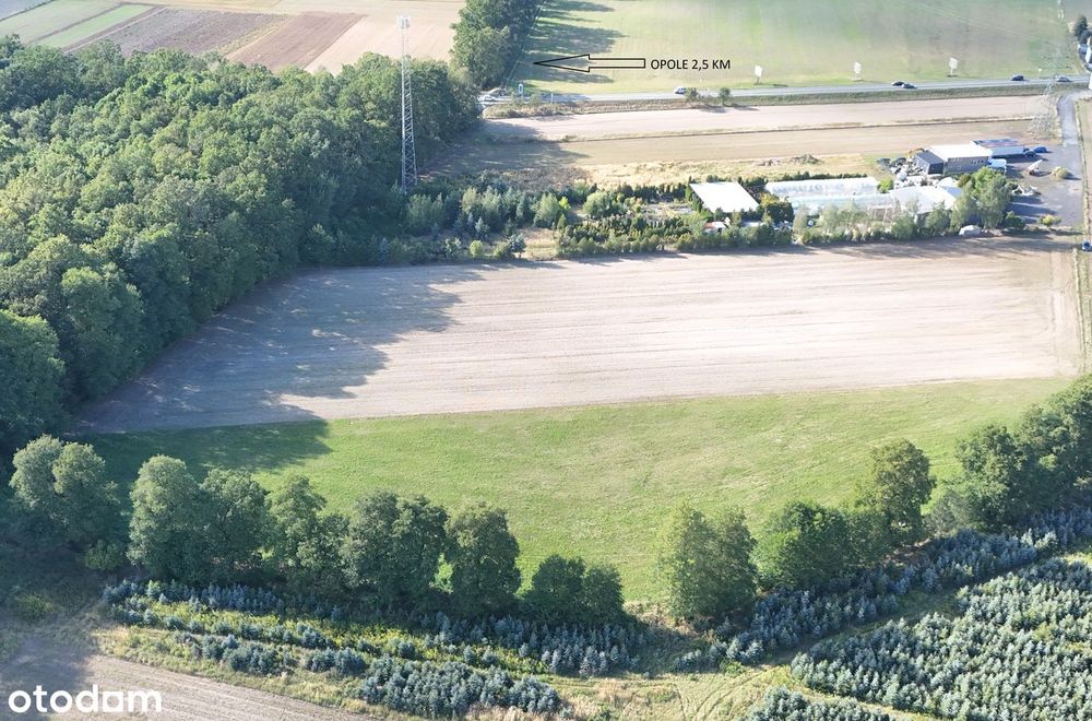 Duża działka w Zawadzie – blisko Opola, pod lasem - Widok 3