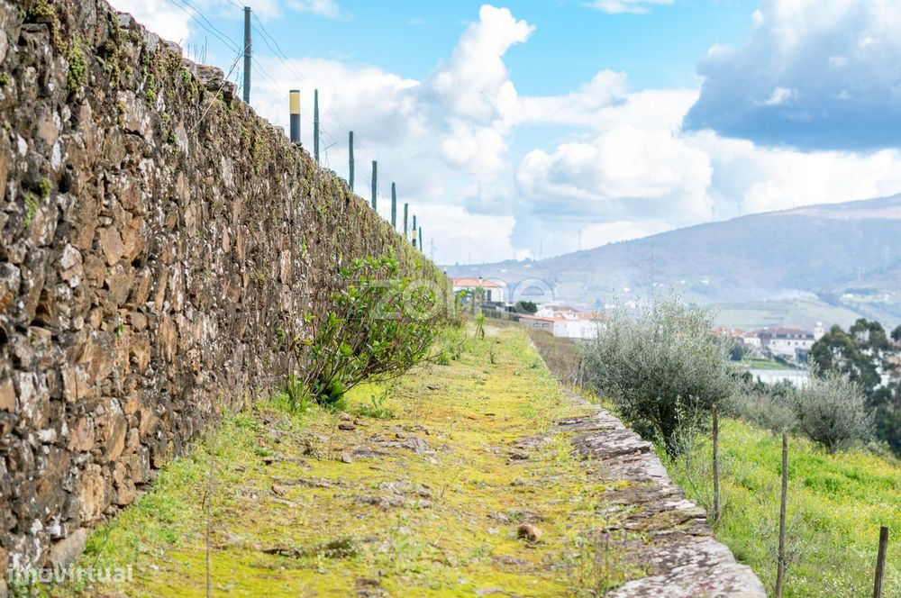 Quinta no Douro - Douro Farm - Douro-TAL