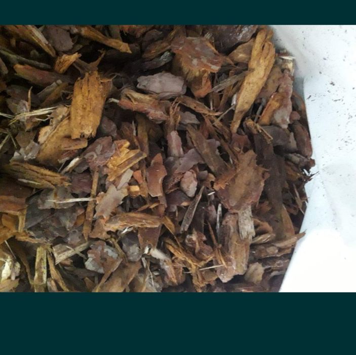 Sprzedam korę sosnową