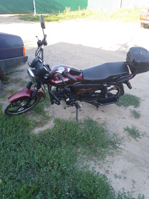 Продам помед мустанг