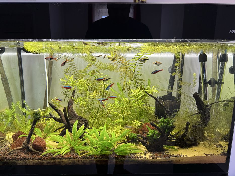 Akwarium Aquael 120l