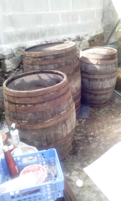 Barris de vinho em madeira