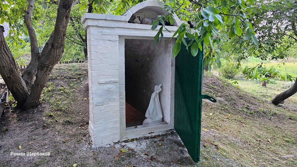 Будинок в селі з газом, пічкою, свердловиною, гарна земельна ділянка