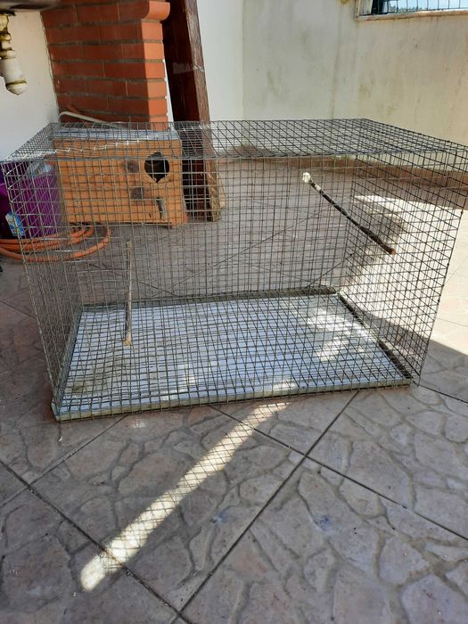 Vendo gaiola para pássaros