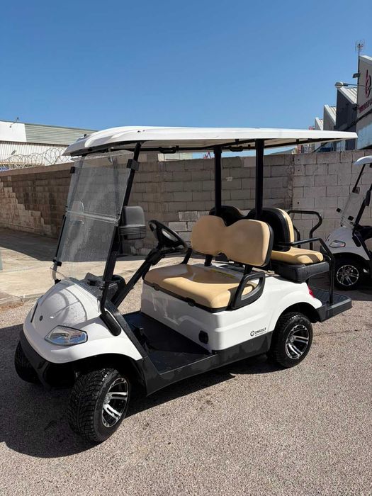 Carrinho de Golfe 2+2 Buggy