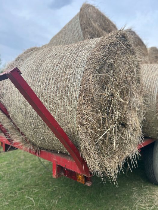 Sprzedam Siano belach