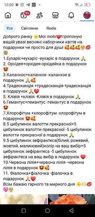 Фіалочки малинові, рожеві дуже гарні
