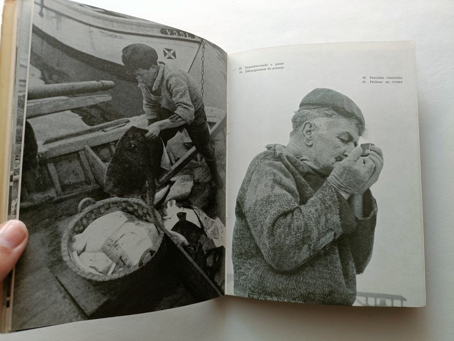 Viana do Castelo - José Crespo