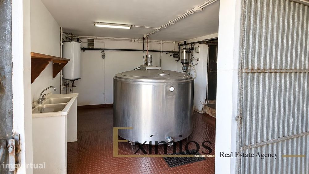 Quinta com 19.600m², situada na Maia