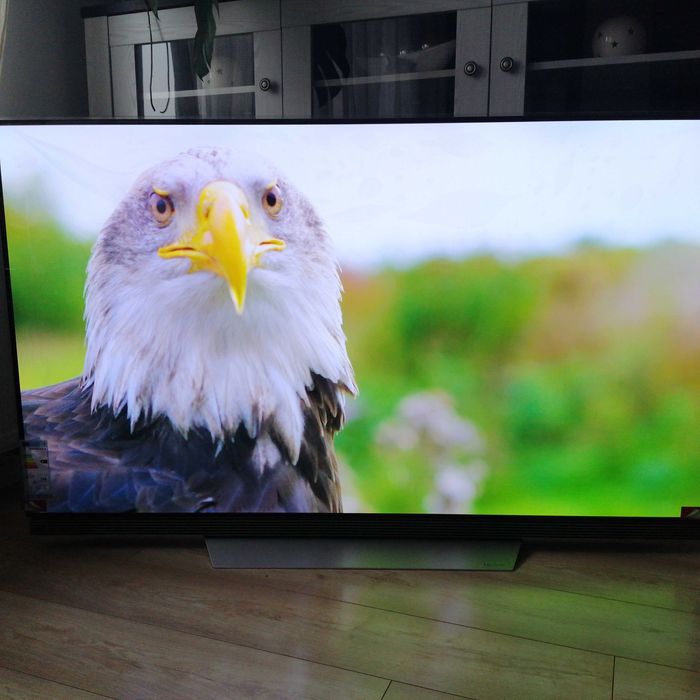 LG OLED 65E7V pilot