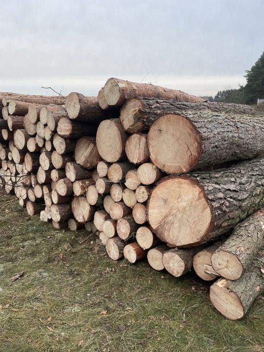 Drewno sosna S2B paletówka