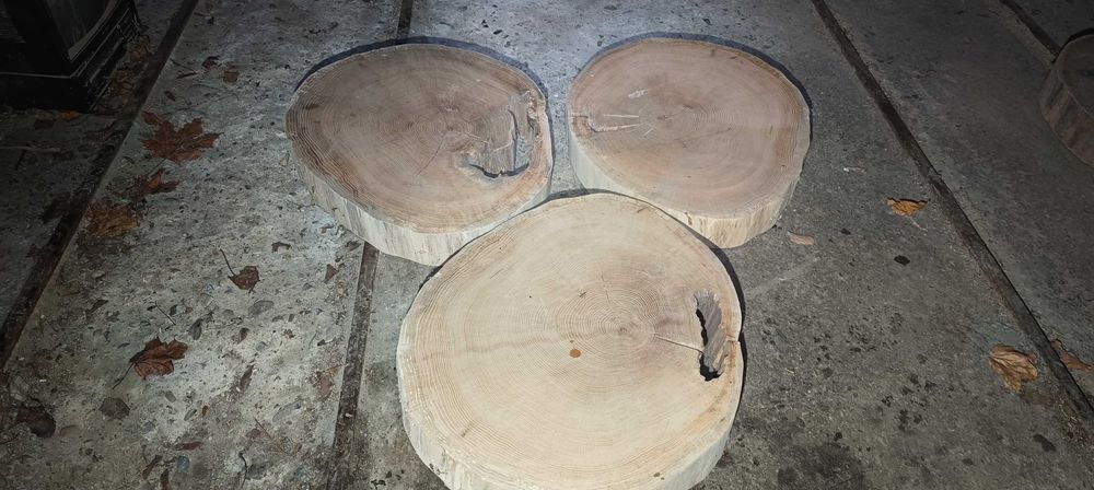 Plastry krążki blaty na stolik kawowy 60cm x10cm