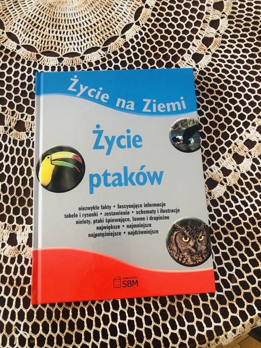 Życie na Ziemi. Życie ptaków