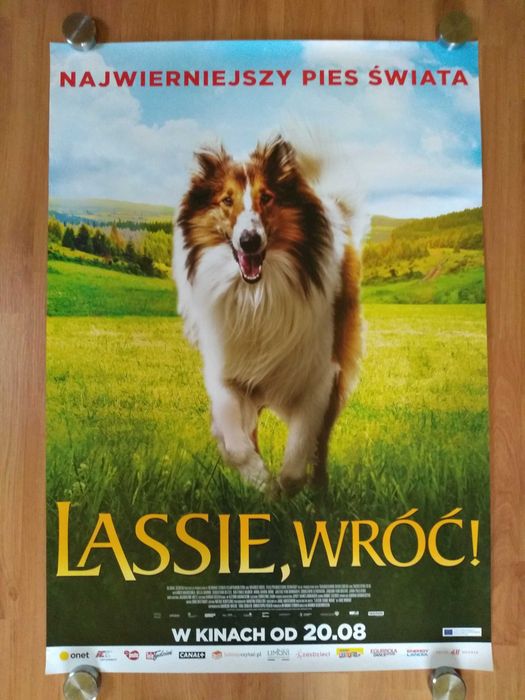 Plakat filmowy LASSIE, WRÓĆ!/Oryginał