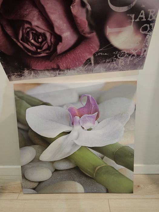 Dwa obrazy - orchidea, róża 58x58 cm
